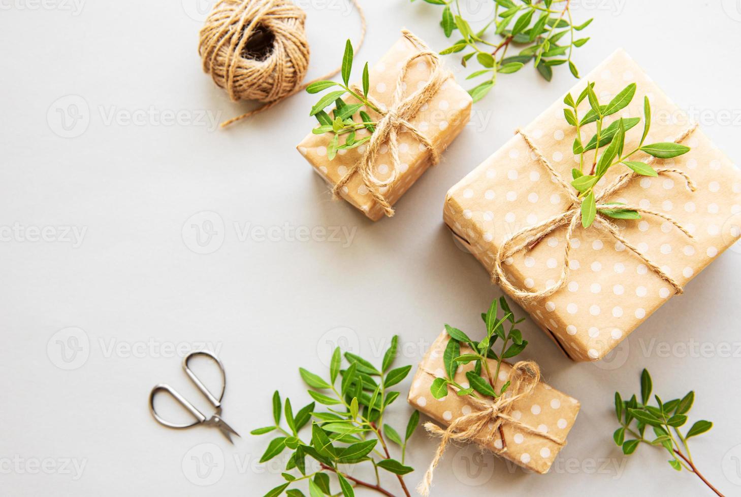 Craft boxes and green branches photo