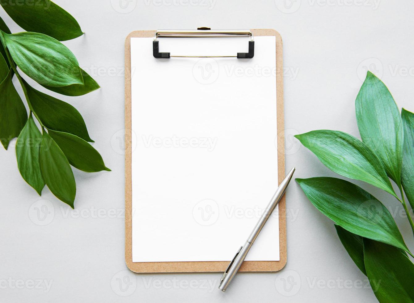 Clipboard and green leaves photo