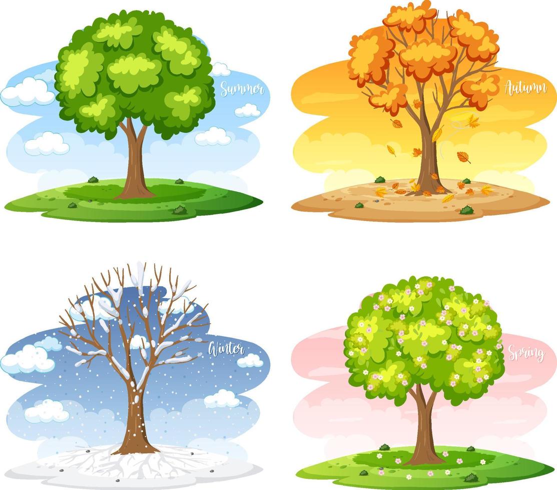 Different trees in four seasons vector