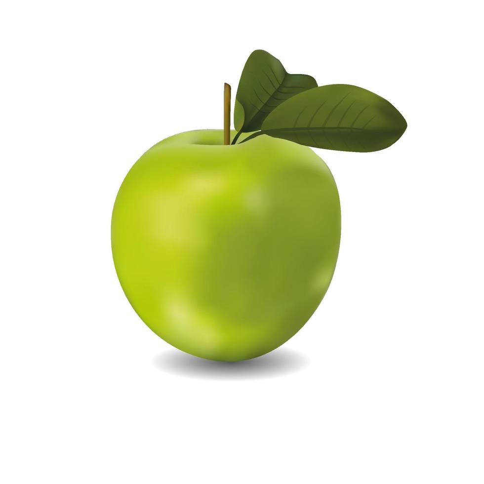 manzana verde realista con sombra vector