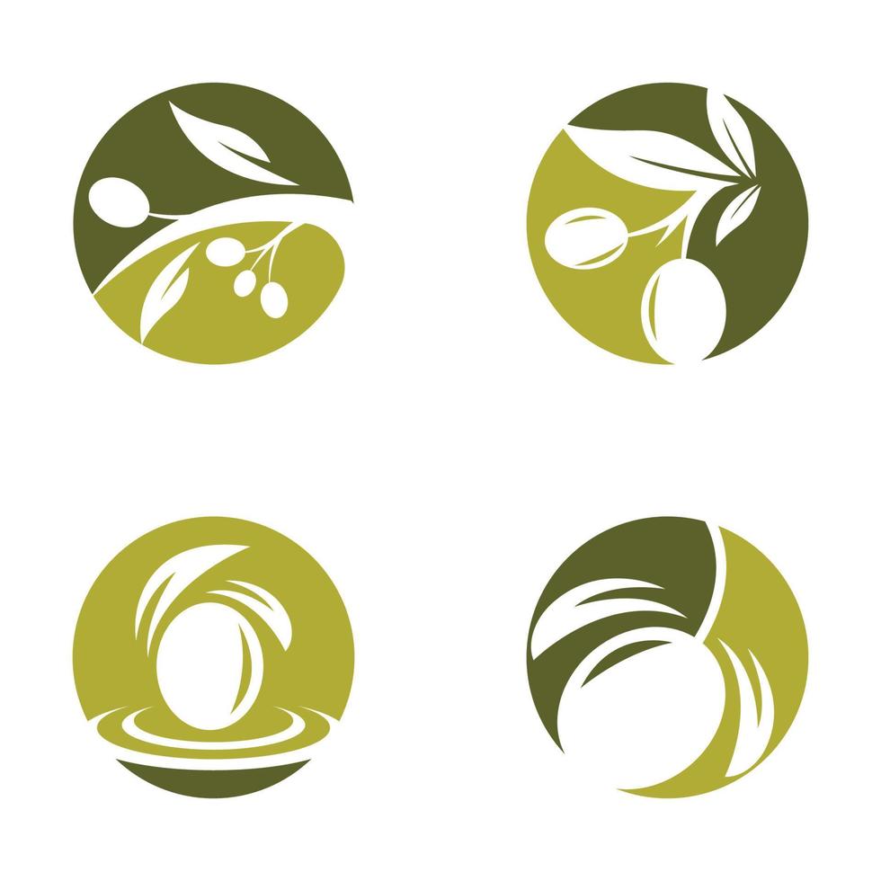 Olive logo images illustration vector