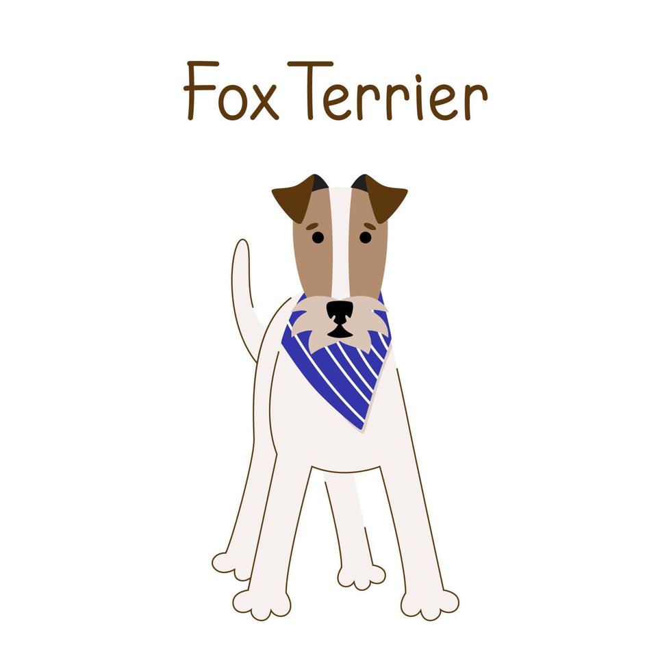 Wire fox terrier isolated on white background. Vector illustration of a pet dog