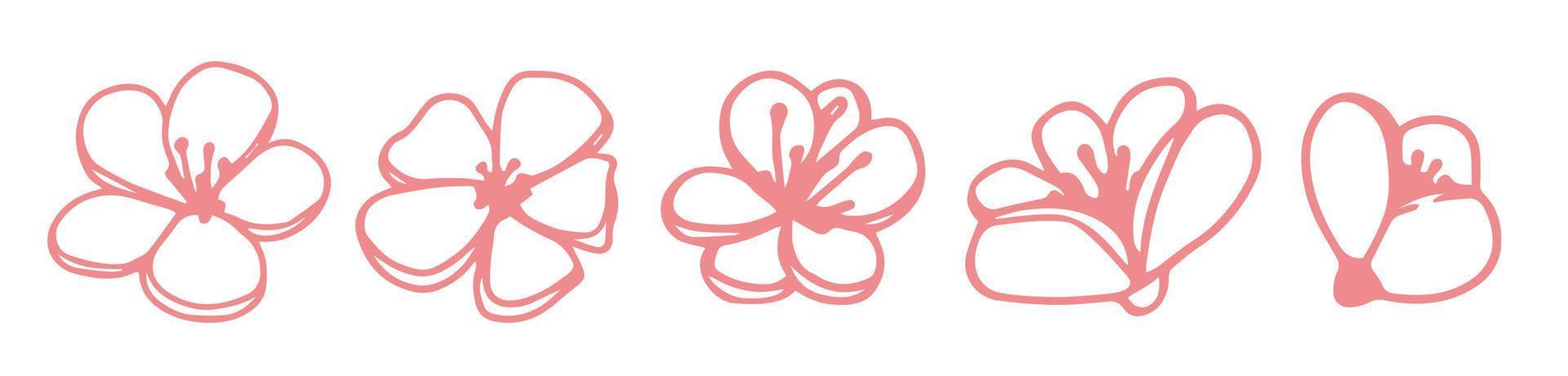 Vector set silhouettes of five hand drawn pink magnolia flowers isolated on white background. Vector illustration. Flowers spring doodle, illustrations
