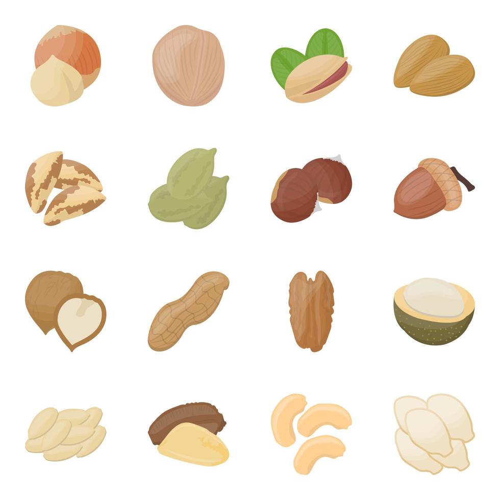 Tree Nuts Concepts vector