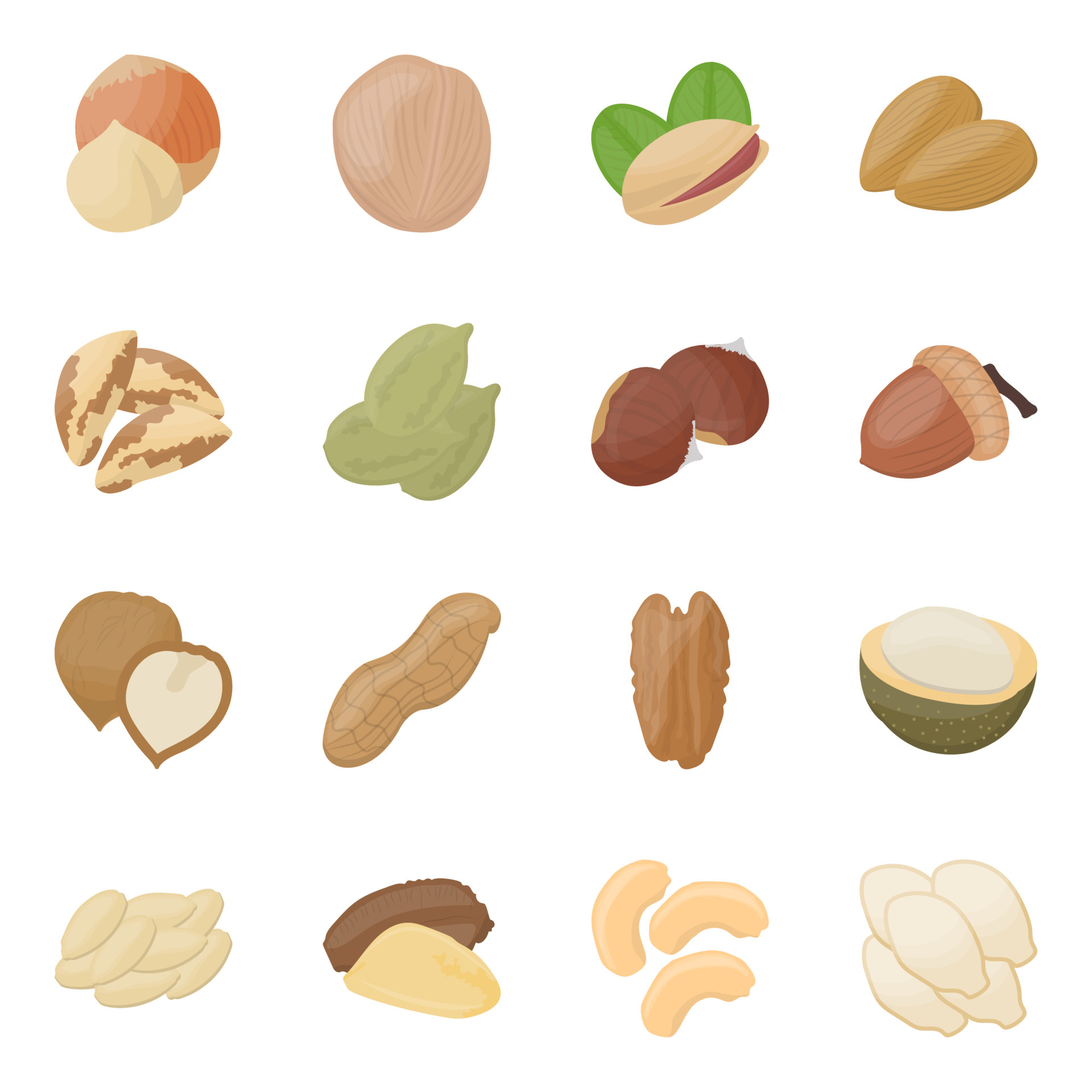 Tree Nuts Concepts 4872186 Vector Art at Vecteezy