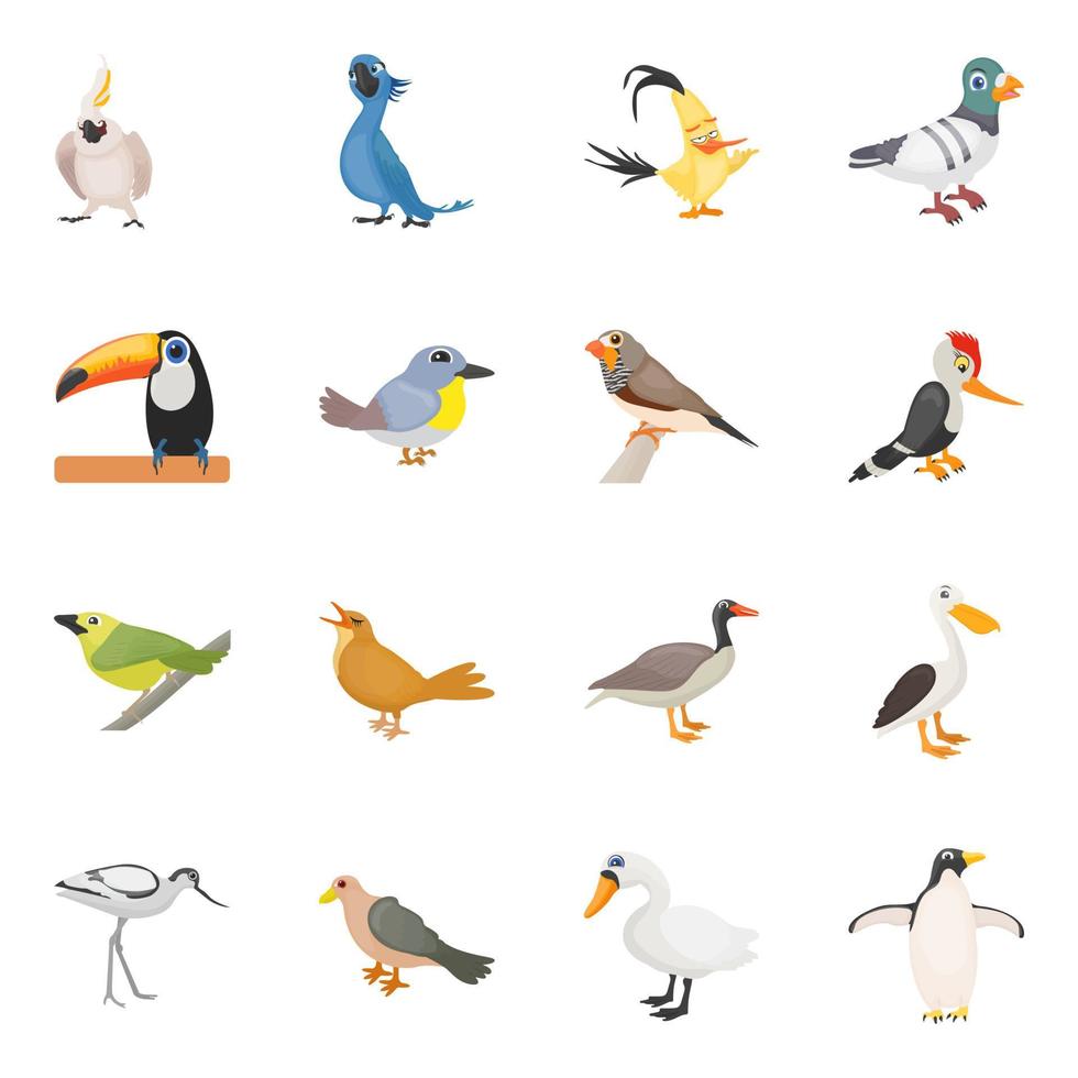 conceptos de aves de dibujos animados vector