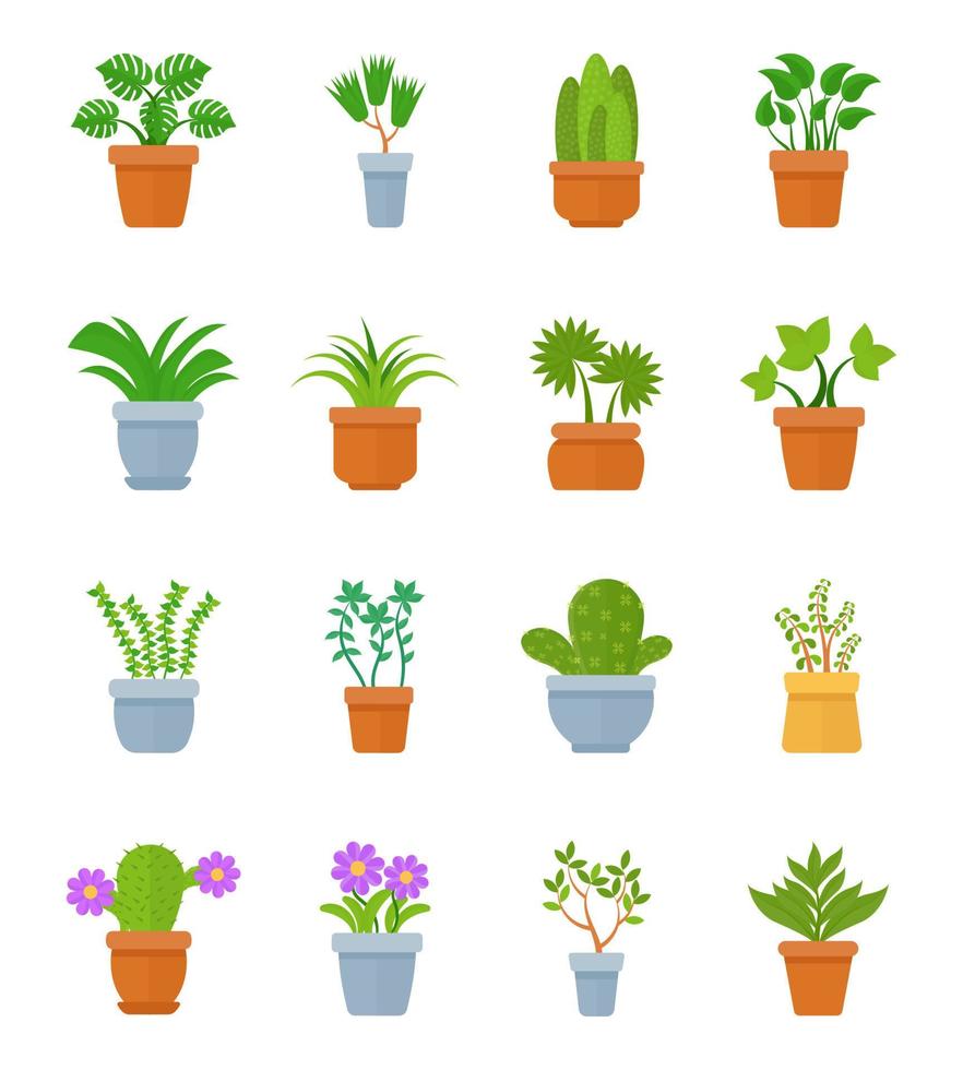 conceptos de plantas de interior de moda vector