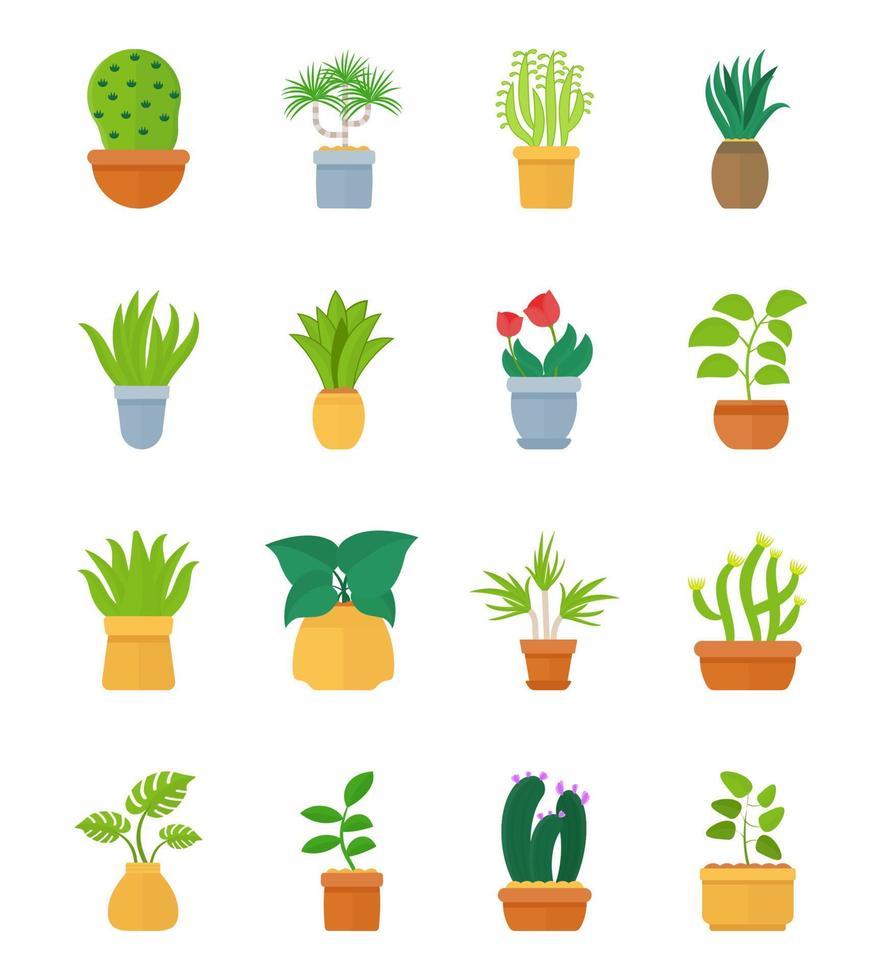 Indoor House Plant vector