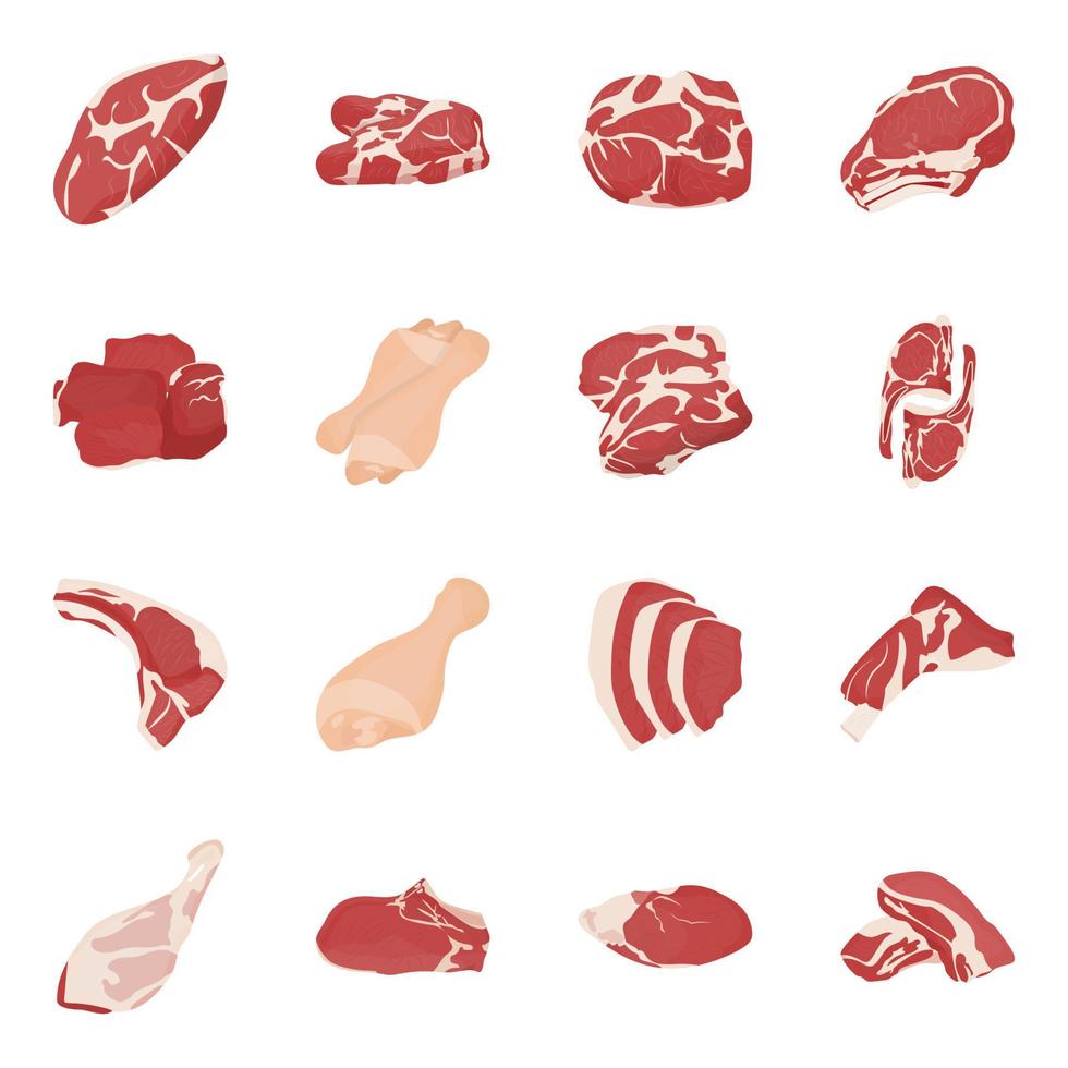 conceptos de carne de moda vector