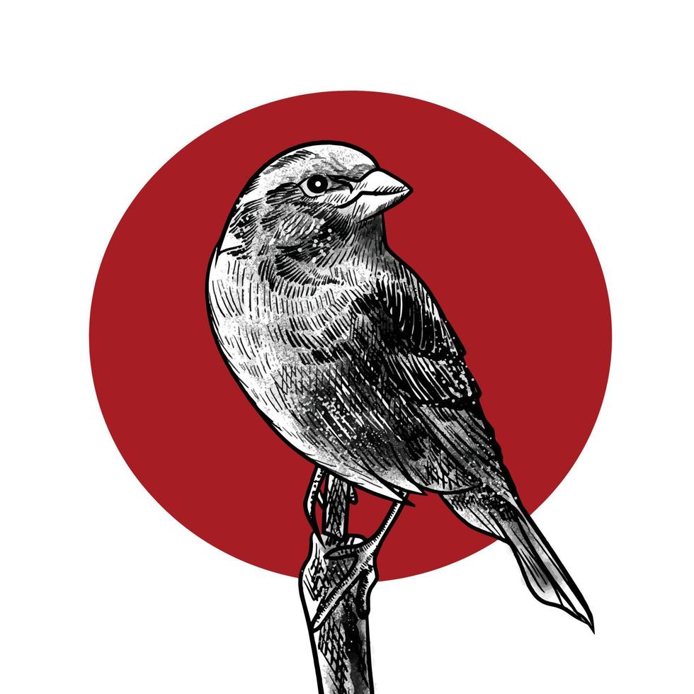 Illustration of bird vector