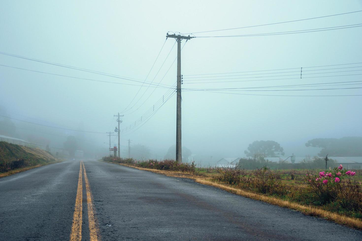 Long lonely paved road passing through a countryside landscape with fields and farms, in a foggy day near Bento Goncalves. A friendly country town in southern Brazil famous for its wine production. photo