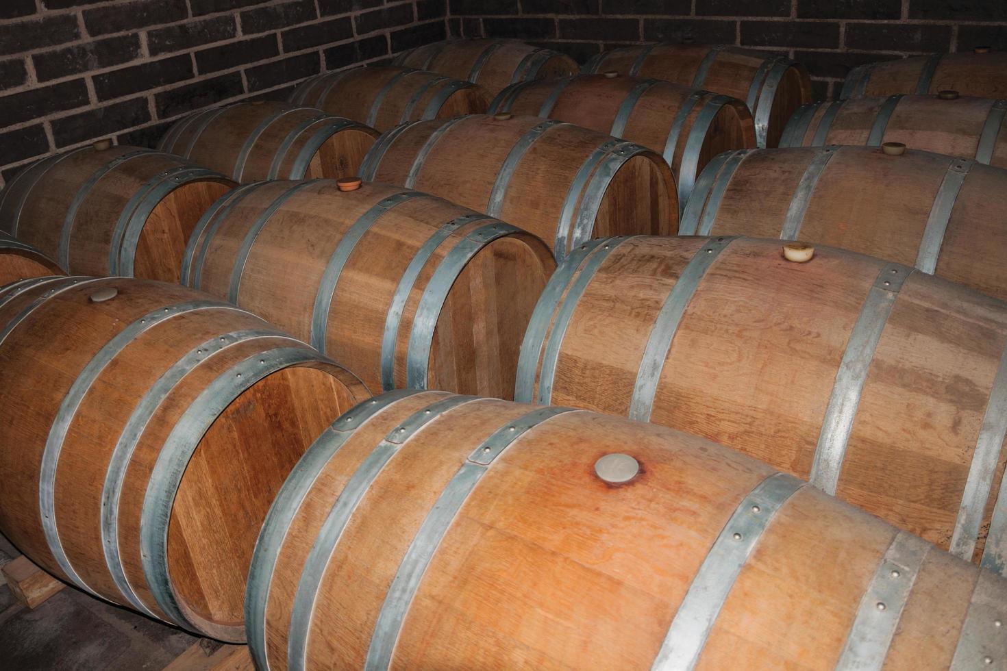 filas con muchas barricas de madera para el envejecimiento y almacenamiento de vino en una bodega cerca de bento goncalves. una acogedora ciudad rural en el sur de Brasil famosa por su producción de vino. foto