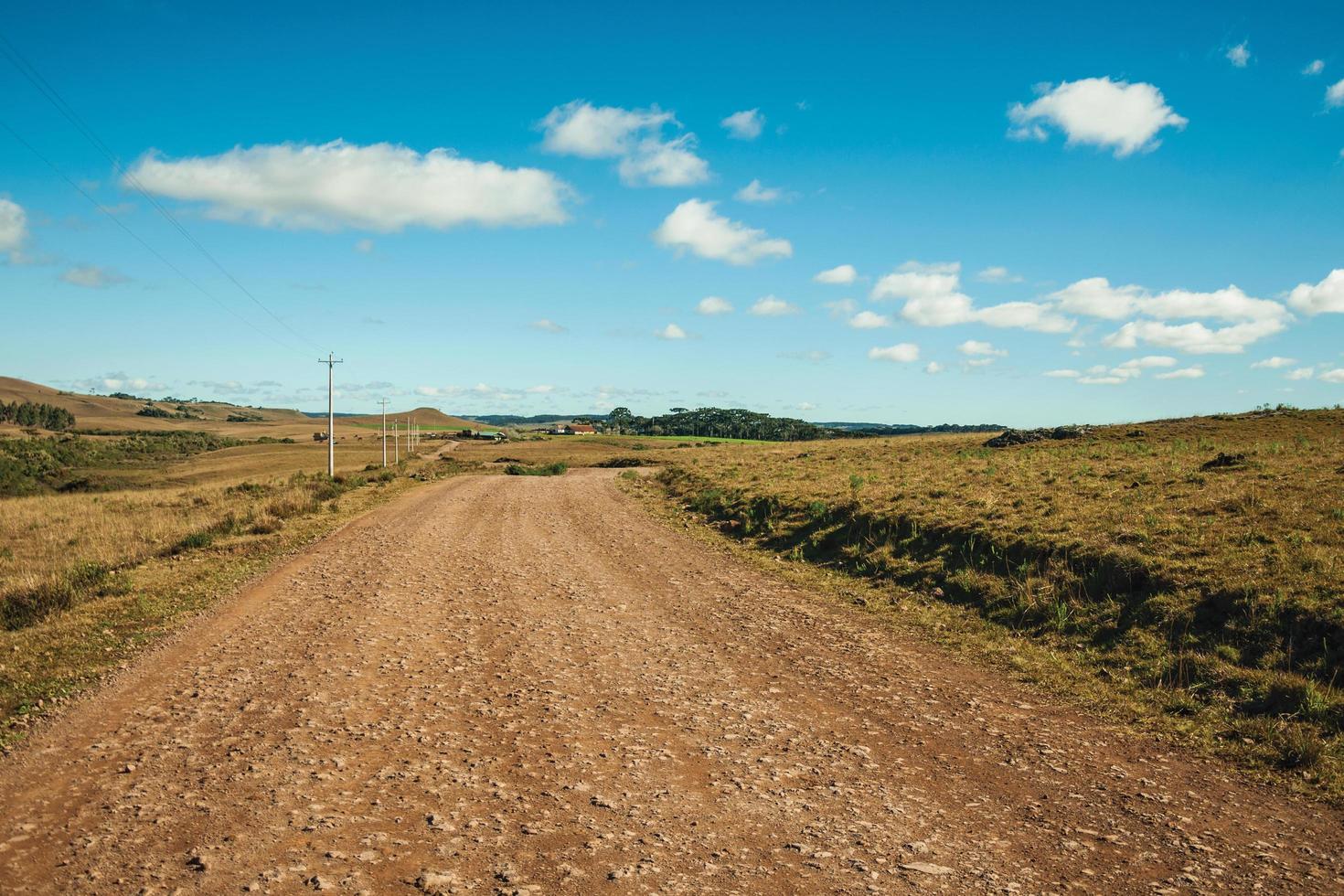 Camino de tierra desierto que pasa por tierras bajas rurales llamadas pampas con arbustos secos y postes de luz cerca de cambara do sul. una pequeña ciudad rural en el sur de Brasil con increíbles atractivos turísticos naturales. foto