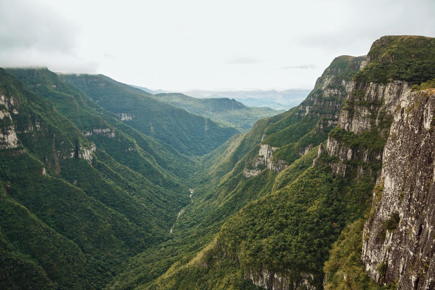 Fortaleza cañón con escarpados acantilados rocosos cubiertos por un espeso bosque y niebla que sube por el barranco cerca de cambara do sul. una pequeña ciudad rural en el sur de Brasil con increíbles atractivos turísticos naturales. foto