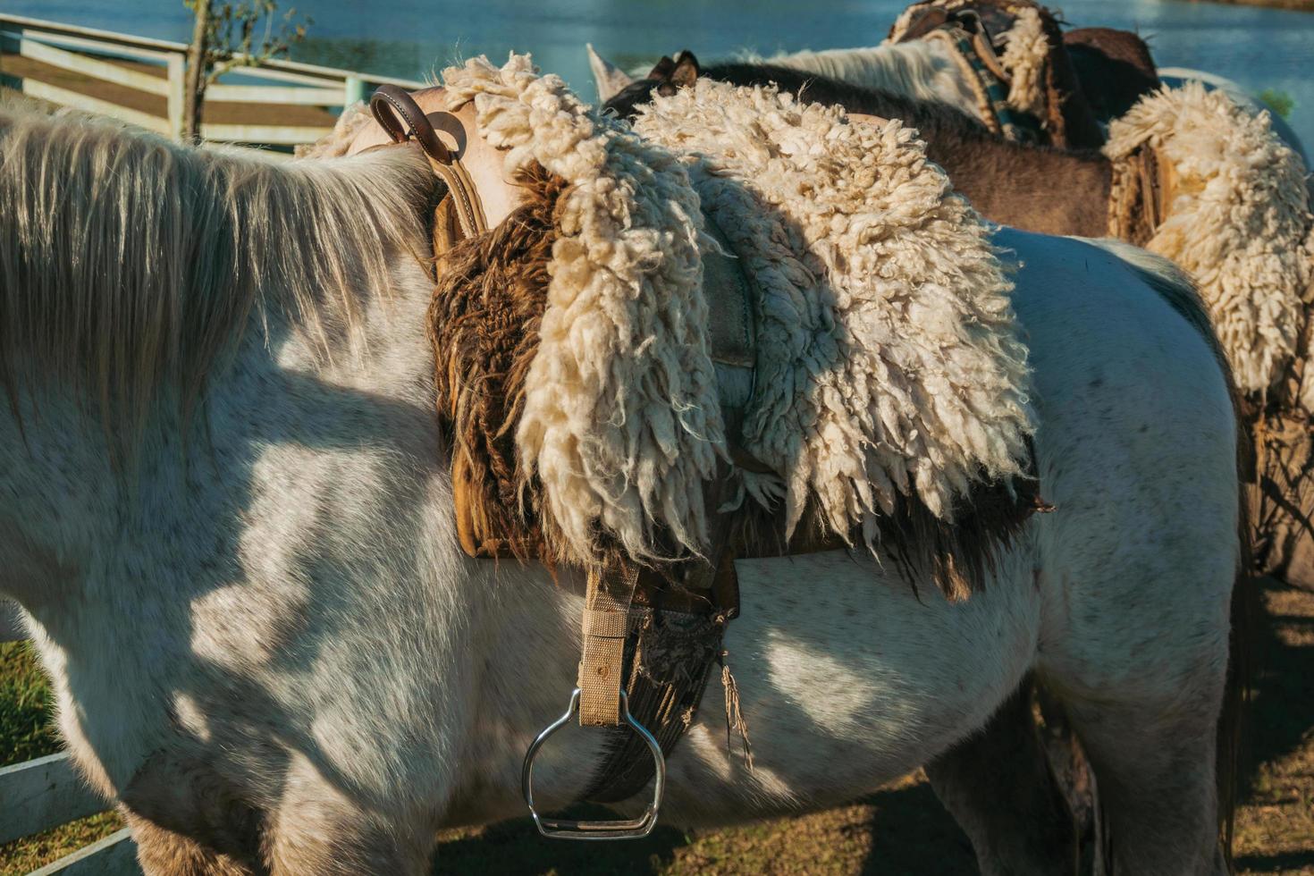 Detail of typical horse saddle made of sheep wool and steel stirrup on sunset, in a ranch near Cambara do Sul. A small rural town in southern Brazil with amazing natural tourist attractions. photo