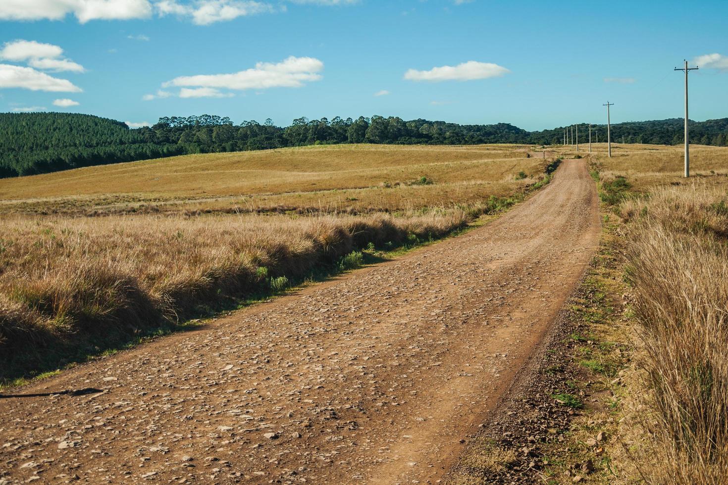 Deserted dirt road passing through rural lowlands called Pampas with dry bushes and light poles near Cambara do Sul. A small country town in southern Brazil with amazing natural tourist attractions. photo