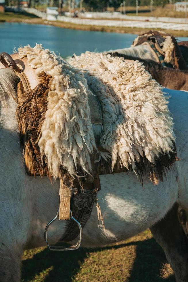 Detail of typical horse saddle made of sheep wool and steel stirrup on sunset, in a ranch near Cambara do Sul. A small rural town in southern Brazil with amazing natural tourist attractions. photo