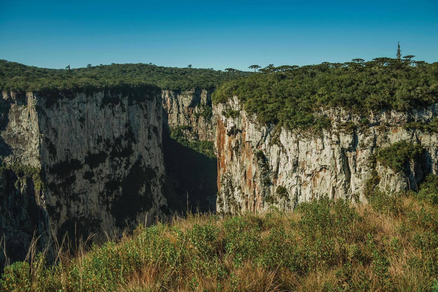 cañón de itaimbezinho con escarpados acantilados rocosos que atraviesan una meseta plana cubierta por bosques cerca de cambara do sul. una pequeña ciudad rural en el sur de Brasil con increíbles atractivos turísticos naturales. foto