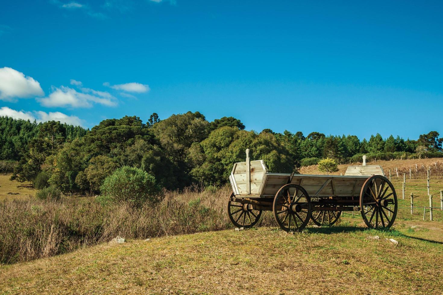 Vagón de madera antiguo en la cima de una colina con arbustos secos y árboles en medio de tierras bajas rurales llamadas pampas cerca de cambara do sul. una pequeña ciudad rural en el sur de Brasil con increíbles atractivos turísticos naturales. foto