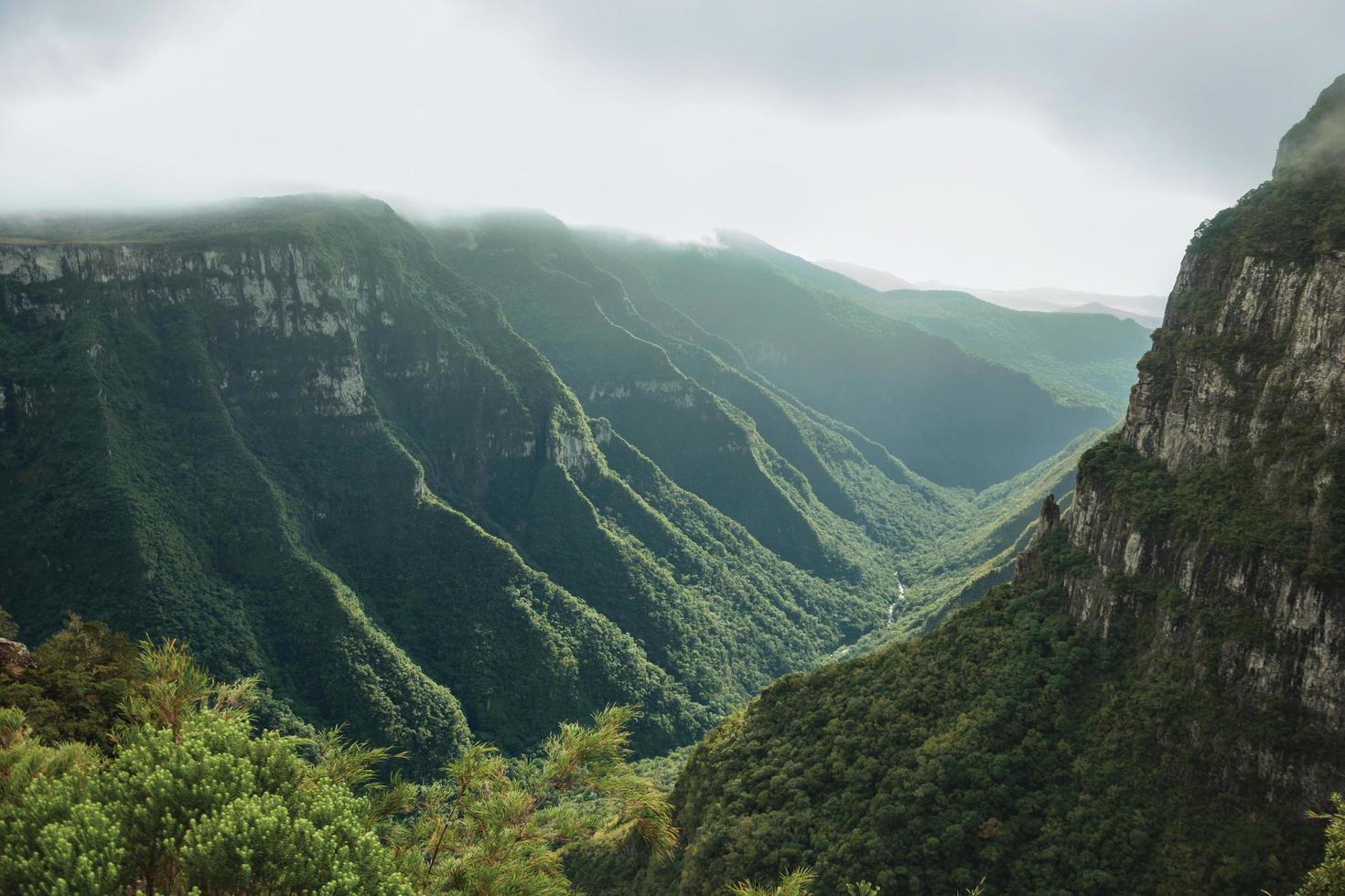 Fortaleza Canyon with steep rocky cliffs covered by thick forest and fog coming up the ravine near Cambara do Sul. A small country town in southern Brazil with amazing natural tourist attractions. photo