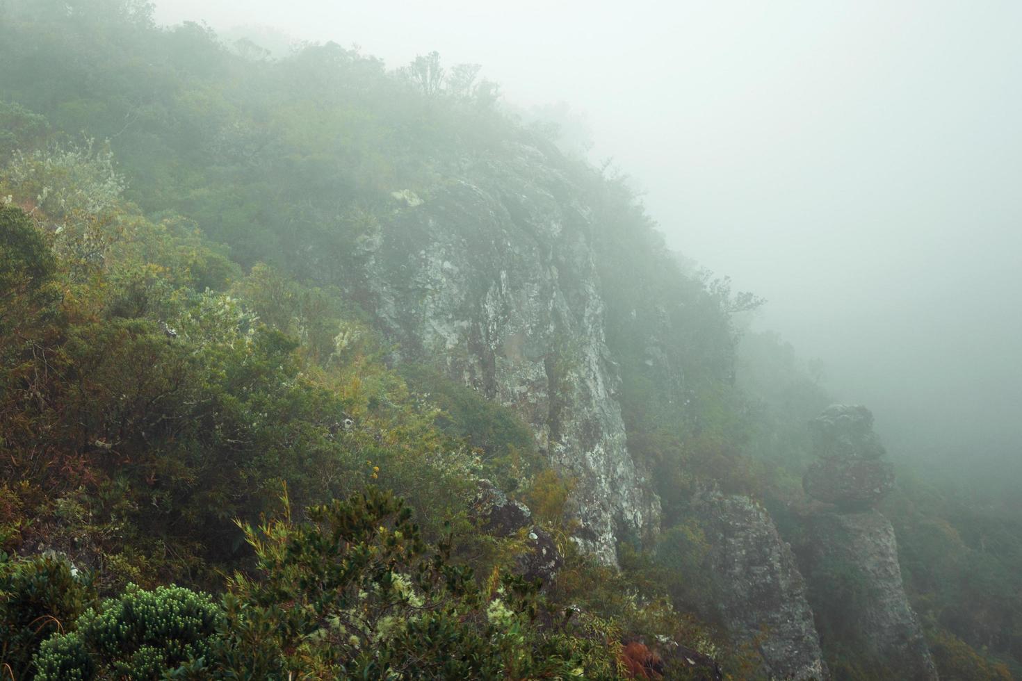 Steep rocky cliff with bushes and mist coming up from the valley at Serra Geral National Park near Cambara do Sul. A small country town in southern Brazil with amazing natural tourist attractions. photo
