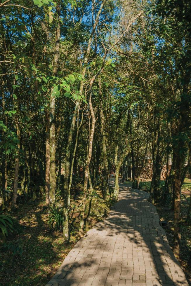 Paved pathway passing through wooded landscape in the Sculpture Park Stones of Silence near Nova Petropolis. A lovely rural town founded by German immigrants in southern Brazil. photo