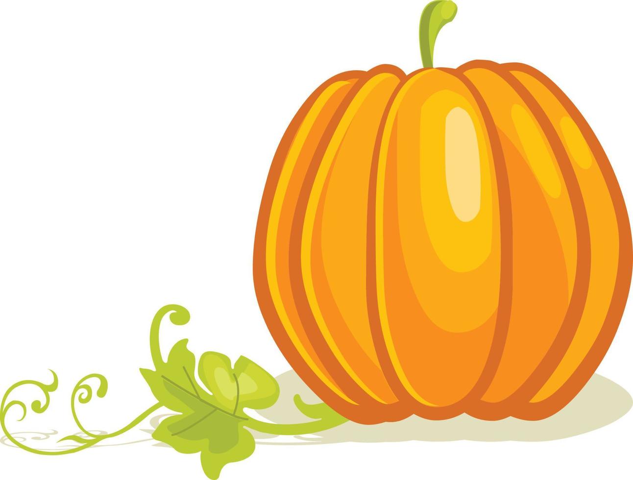 Pumpkin vegetable vector illustration