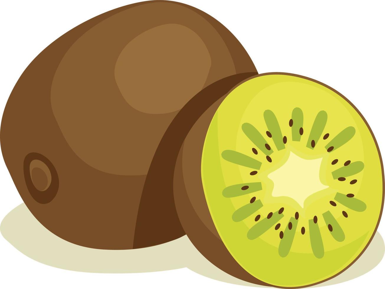 Ilustración de vector de fruta de kiwi