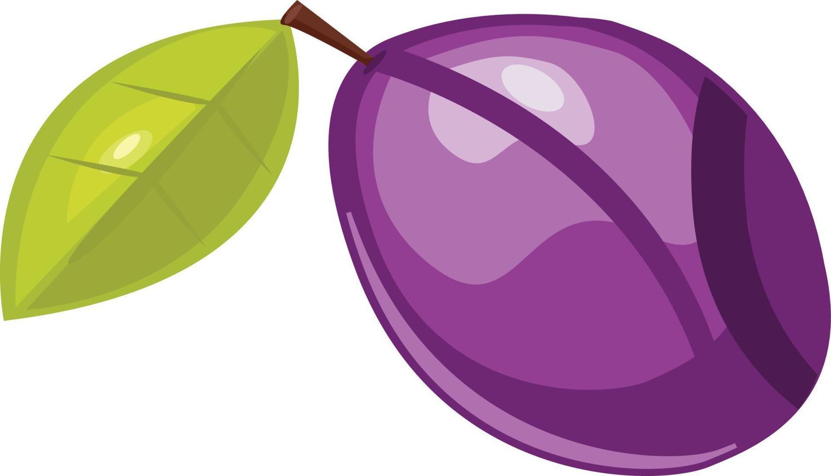 Damson plum vegetable illustration vector