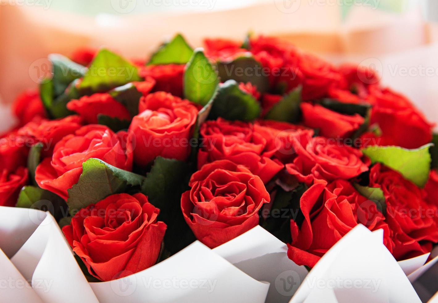 hermosas rosas rojas 4875440 Foto de stock en Vecteezy