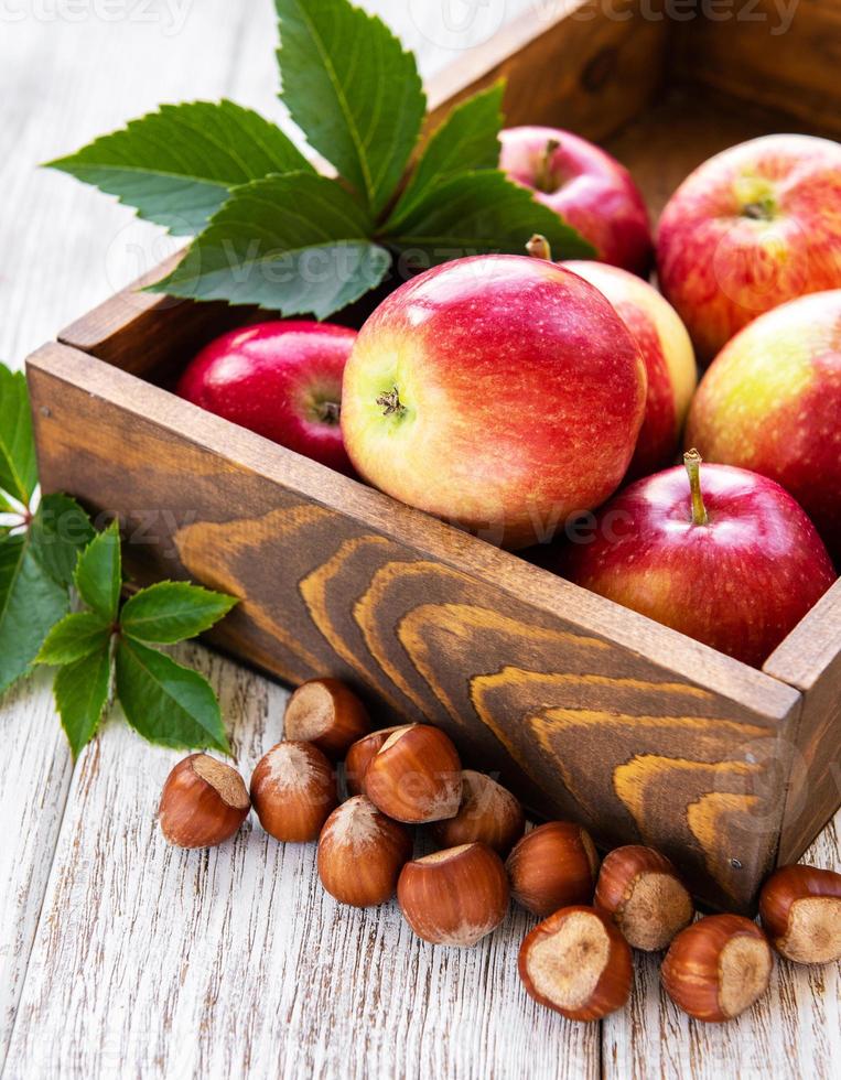 Apples and hazelnuts photo