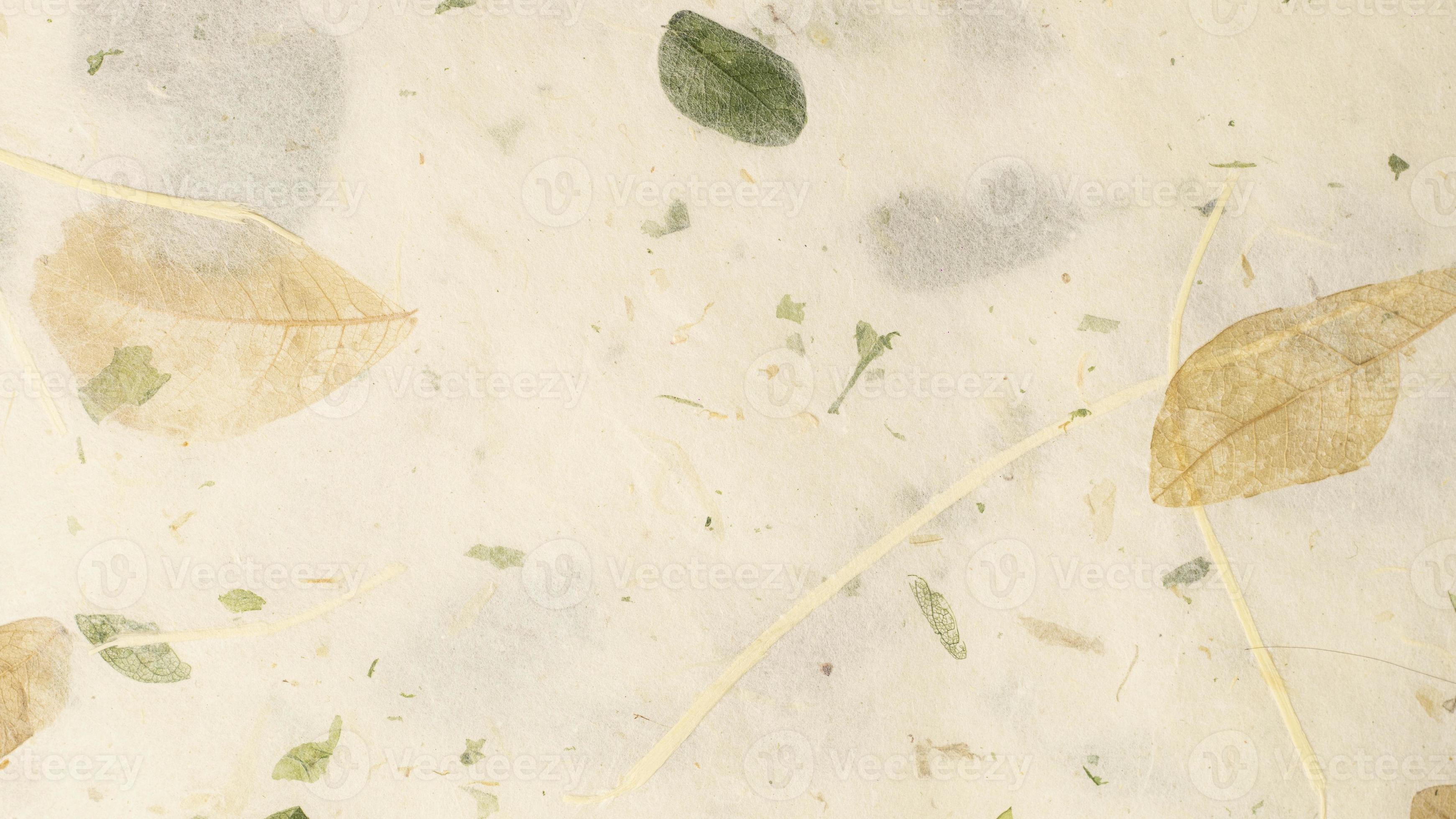 Pale Yellow Mulberry Paper with leaf texture background, Handmade paper