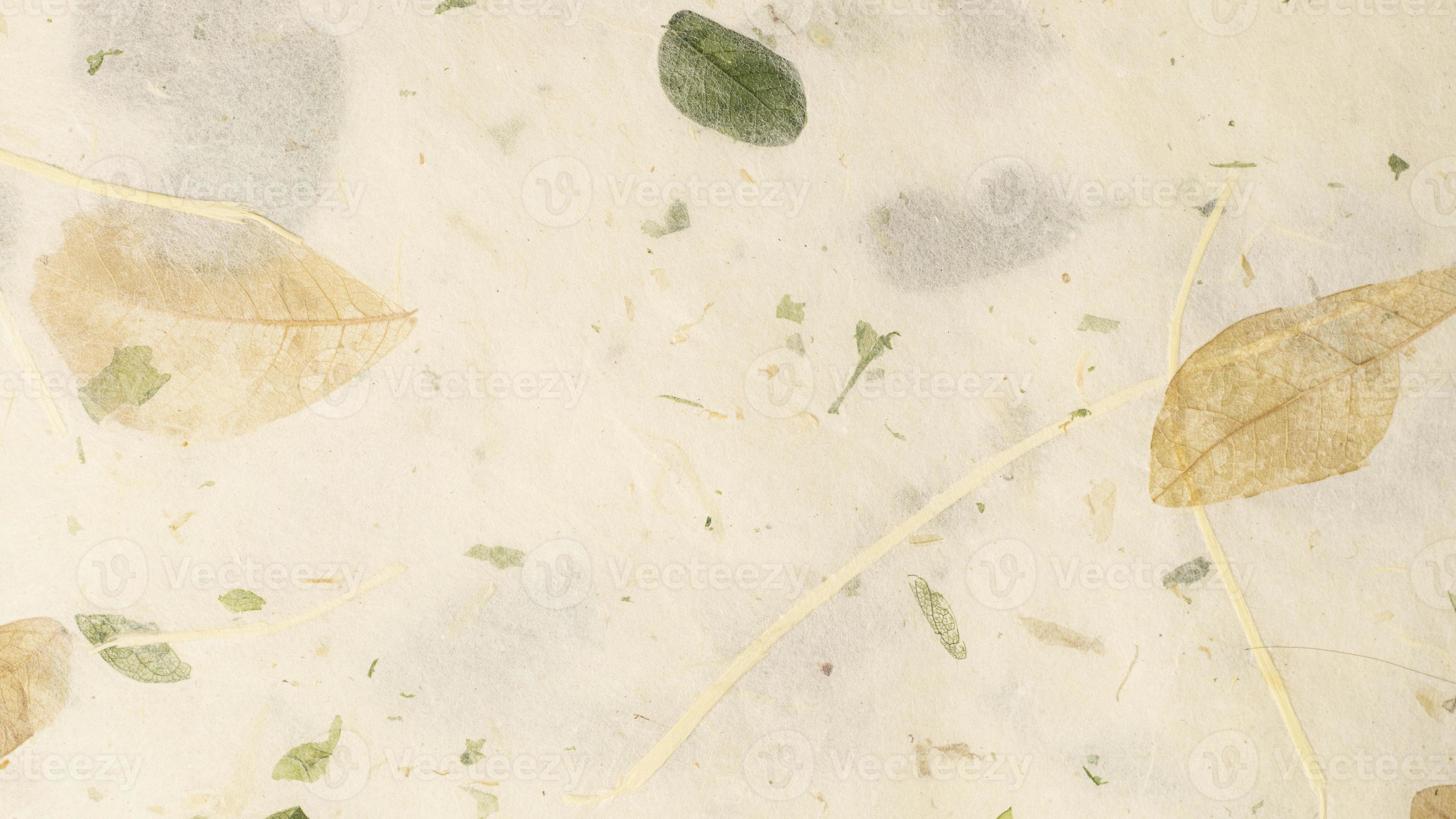 Pale Yellow Mulberry Paper with leaf texture background, Handmade paper  horizontal with Unique design of paper, Soft natural paper style For  aesthetic creative design 4876203 Stock Photo at Vecteezy