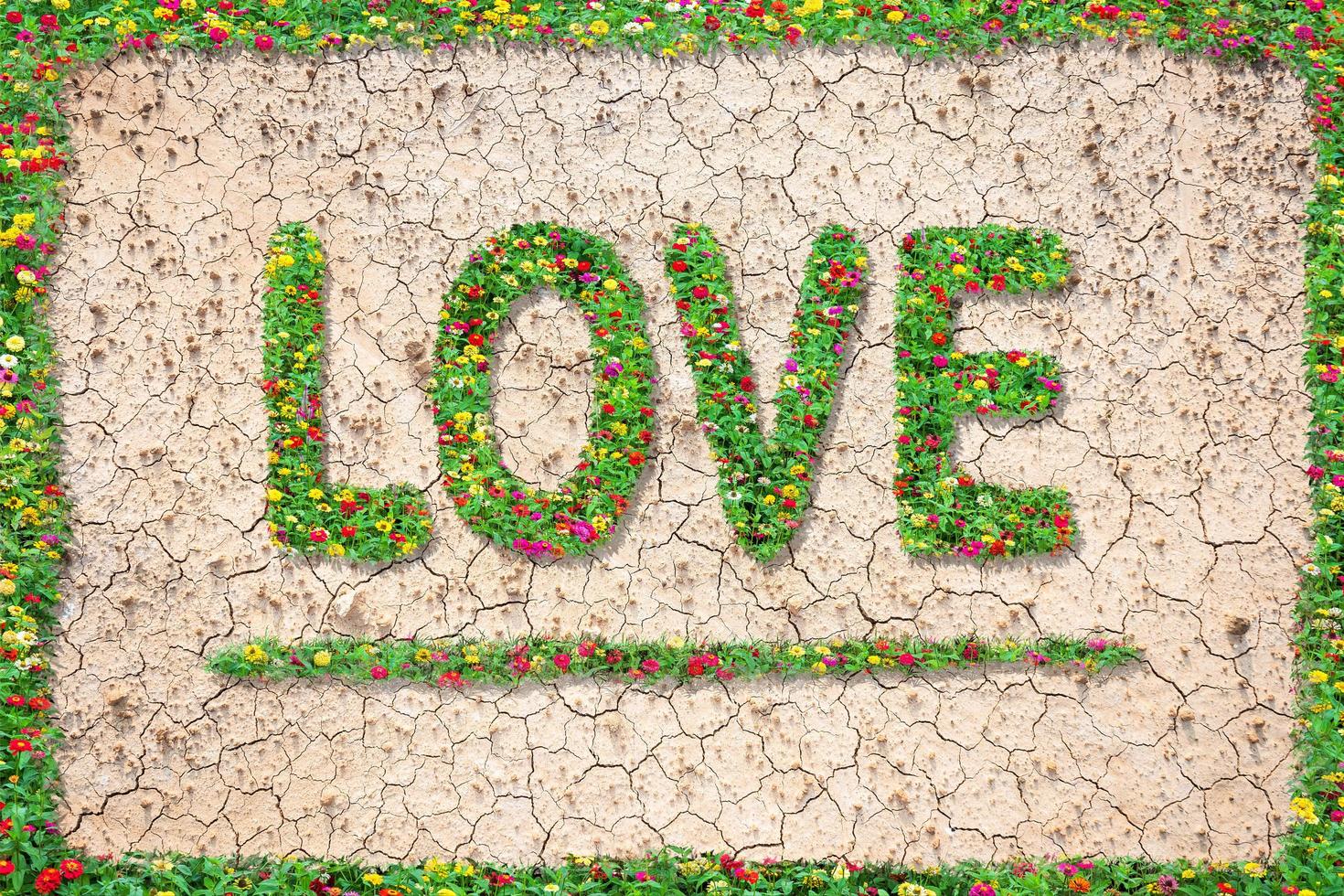 Love text with common zinnia beautifully with green leaves growing on brown dry soil or cracked ground texture background.Love concept photo