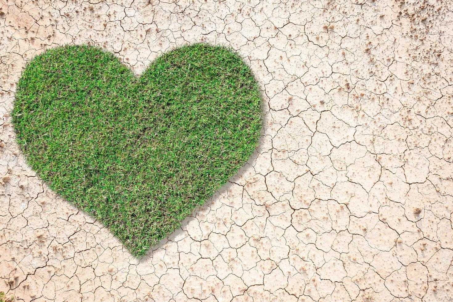 Heart-shaped green grass growing on brown dry soil or cracked ground texture background.Love concept photo