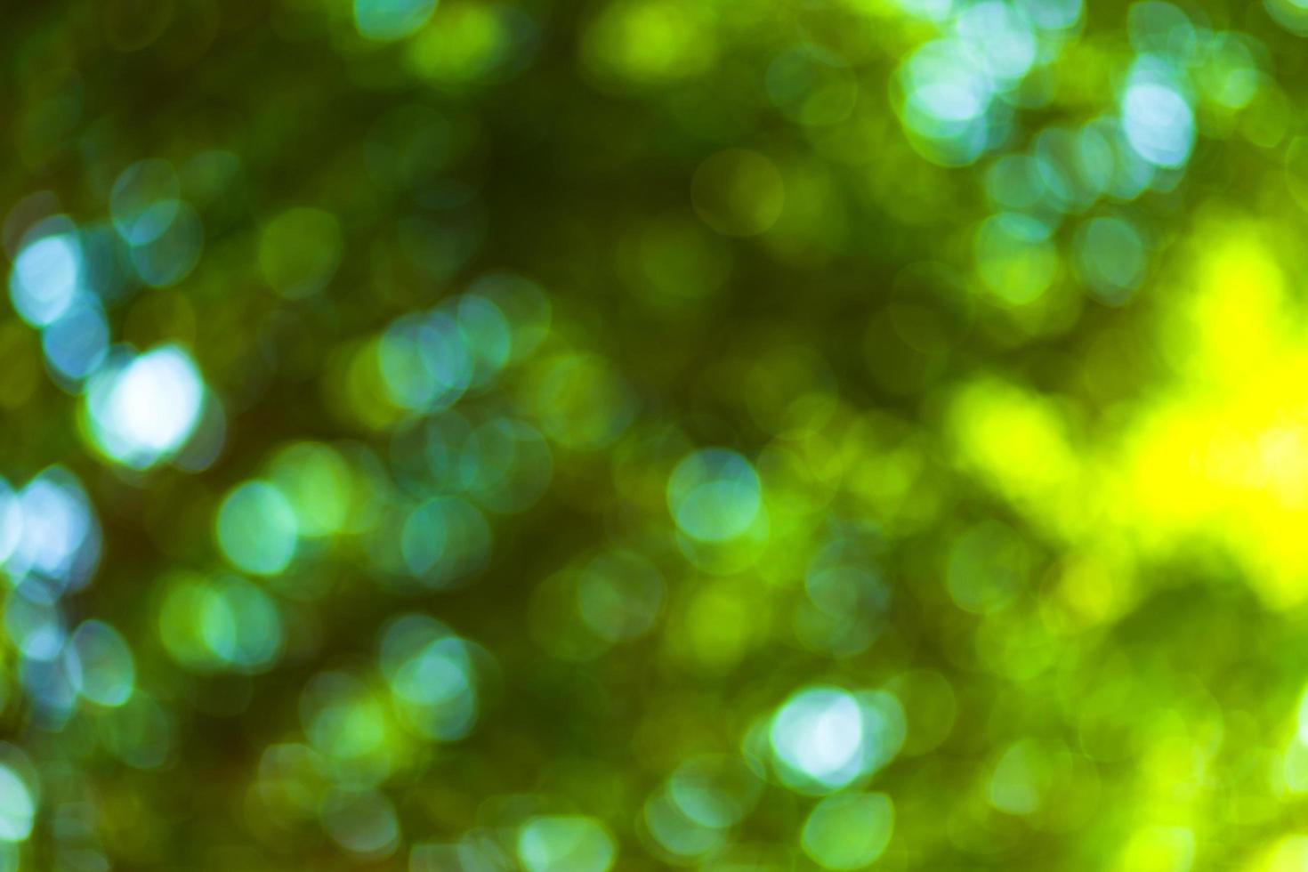 Fondo verde bokeh con círculos. tema abstracto de verano. foto