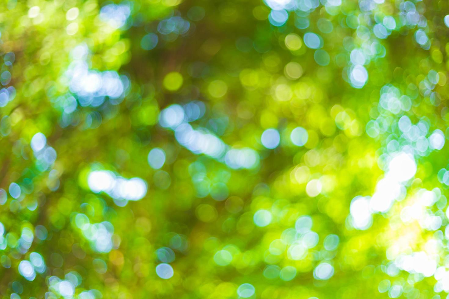 green bokeh background with circles. Summer abstract theme. photo
