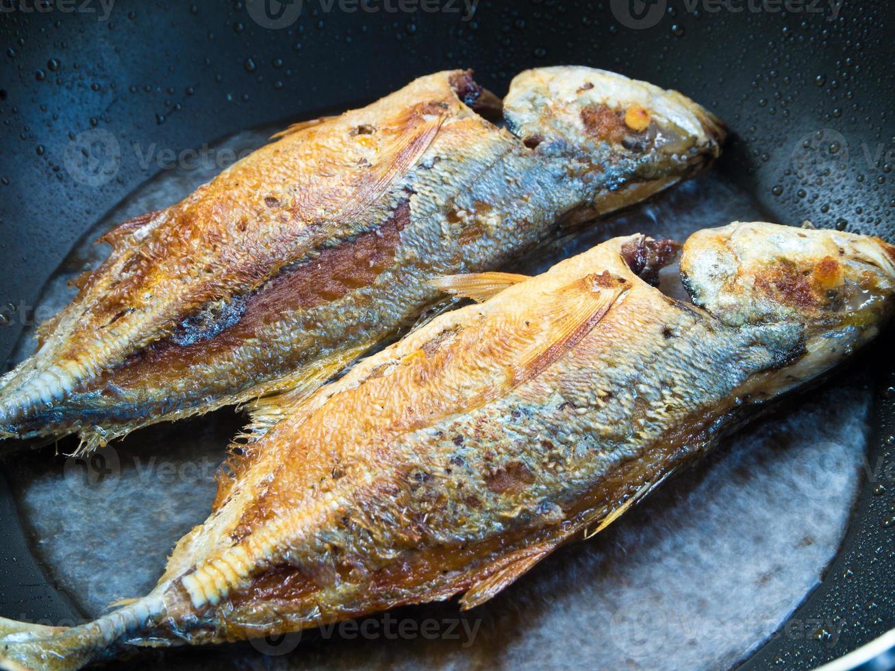 Sea fish frying in a Pan photo