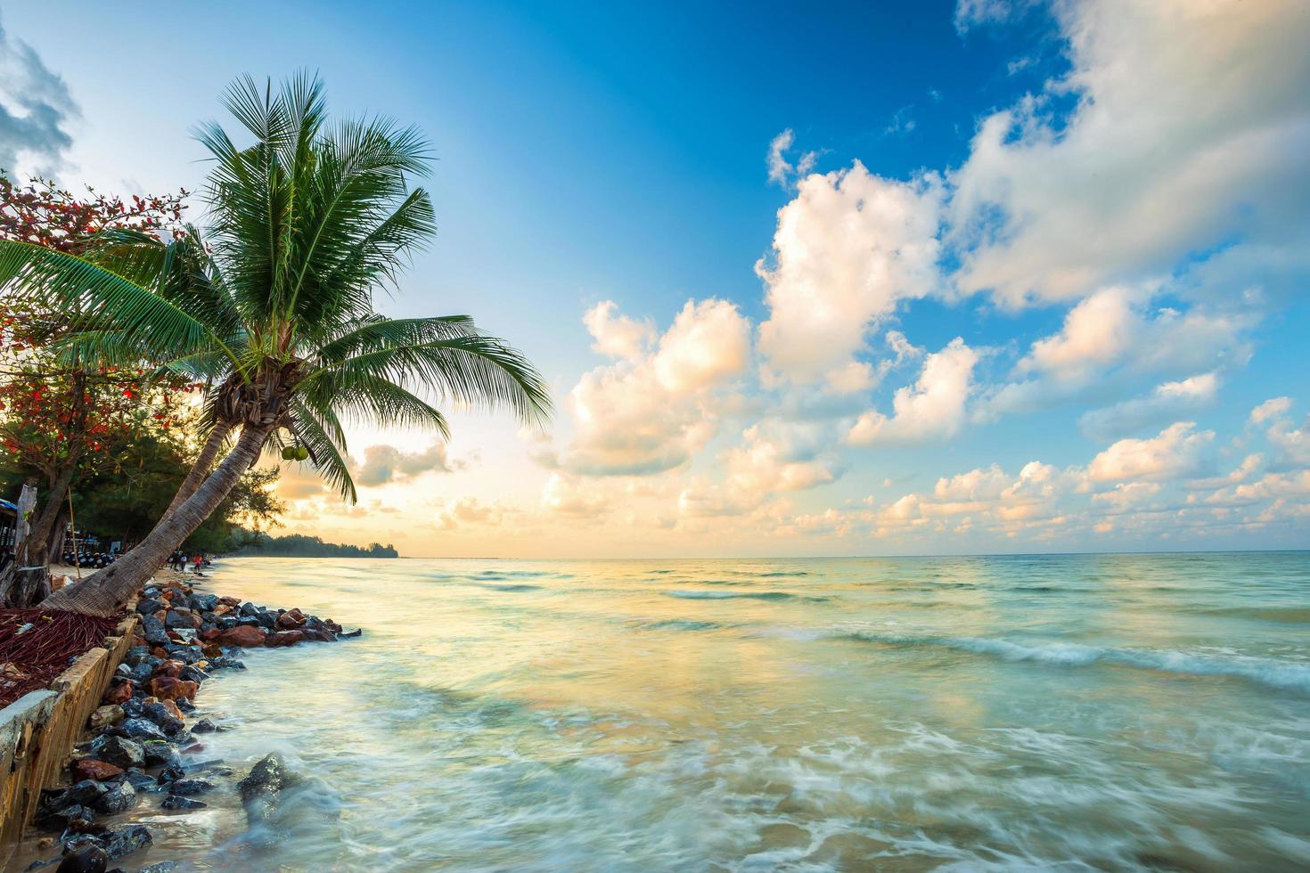 Beautiful early morning sunrise over Coconut tree with the sea the horizon at Hat chao lao beach in Chanthaburi Thailand. photo