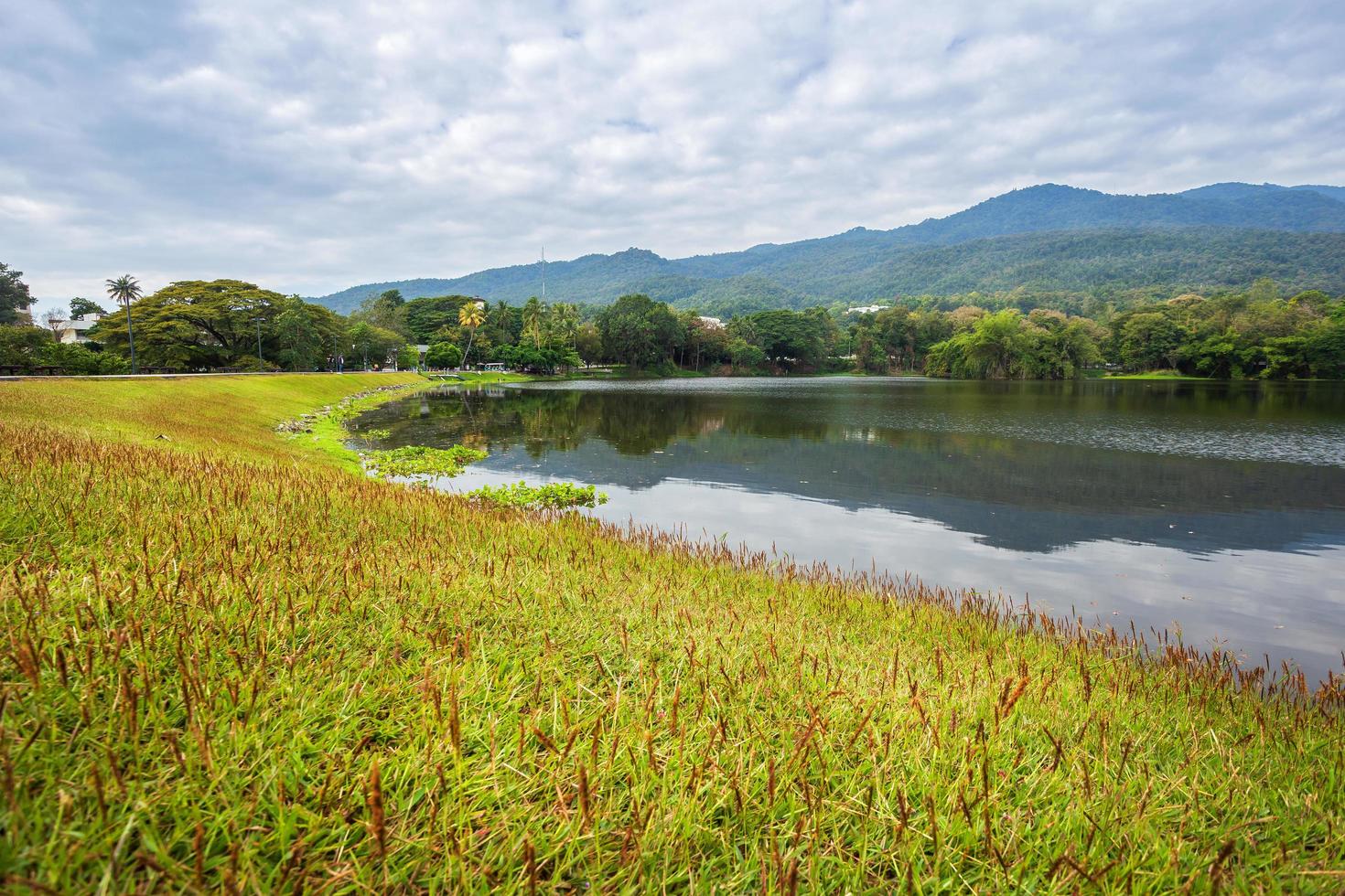 Mountain range forest with the reservoir blue sky background in Ang Kaew Chiang Mai University,Thailand. photo