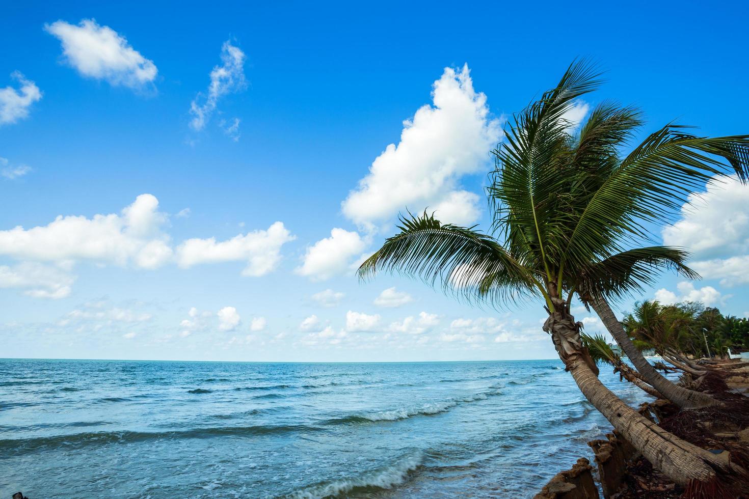 Beautiful early morning sunrise over Coconut tree with the sea the horizon at Hat chao lao beach in Chanthaburi Thailand. photo