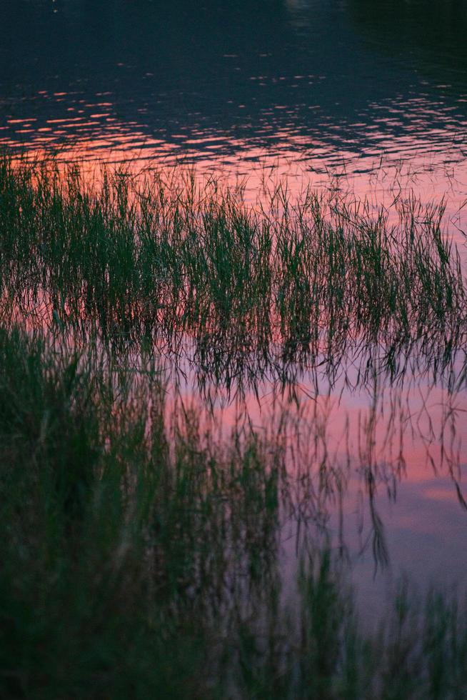 puesta de sol junto al lago foto