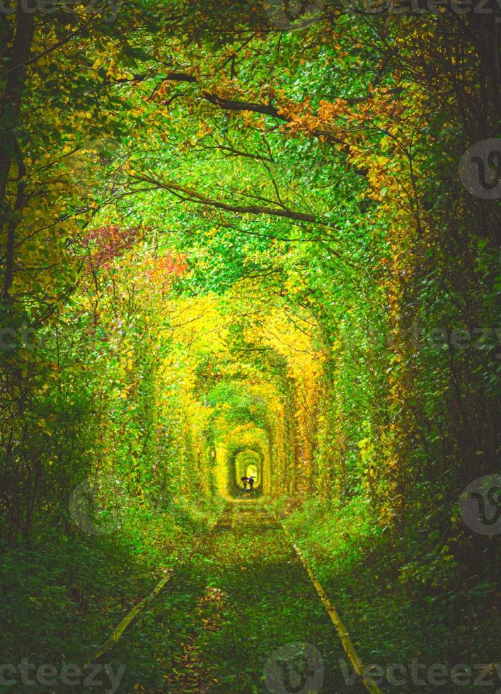 túnel del amor en ucrania foto