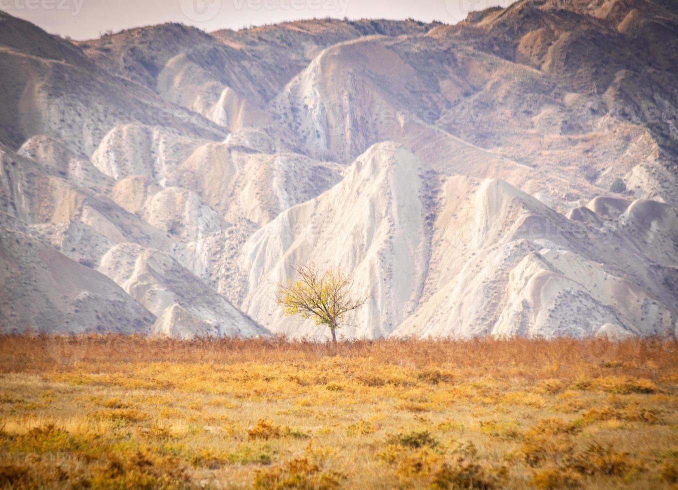 Lonely autumn tree with stunning rock formation in background. Travel destination in Georgia. Caucasus exploration. photo