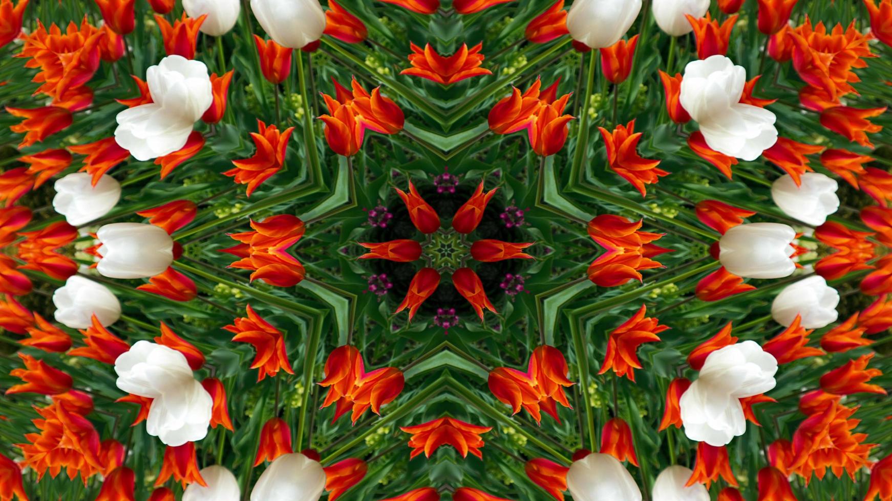 Flowers Flora Kaleidoscope photo