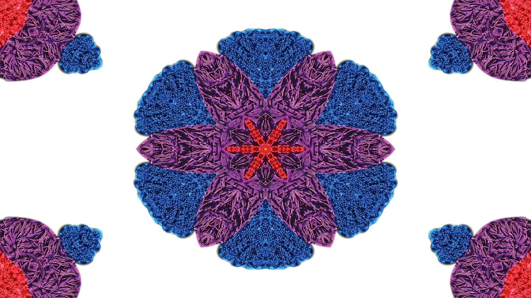 Flowers Flora Kaleidoscope photo