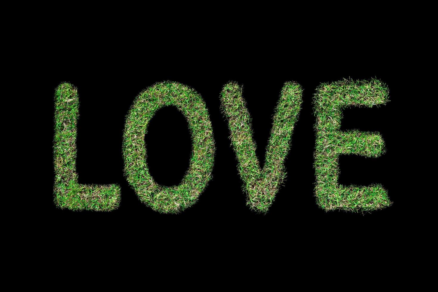 Love text with green grass growing on Isolated on black.Love concept photo