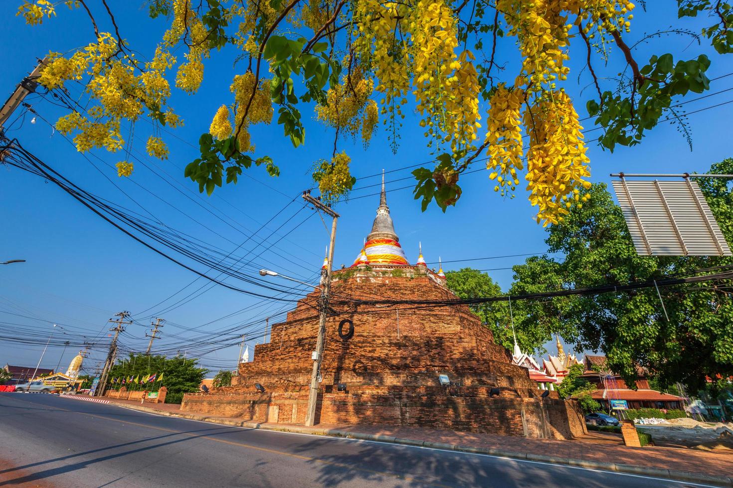 Cassia Fistula at Park in Phra Chedi Luang in Temple is a Buddhist temple It is a major tourist attraction in Phitsanulok,Thailand. photo