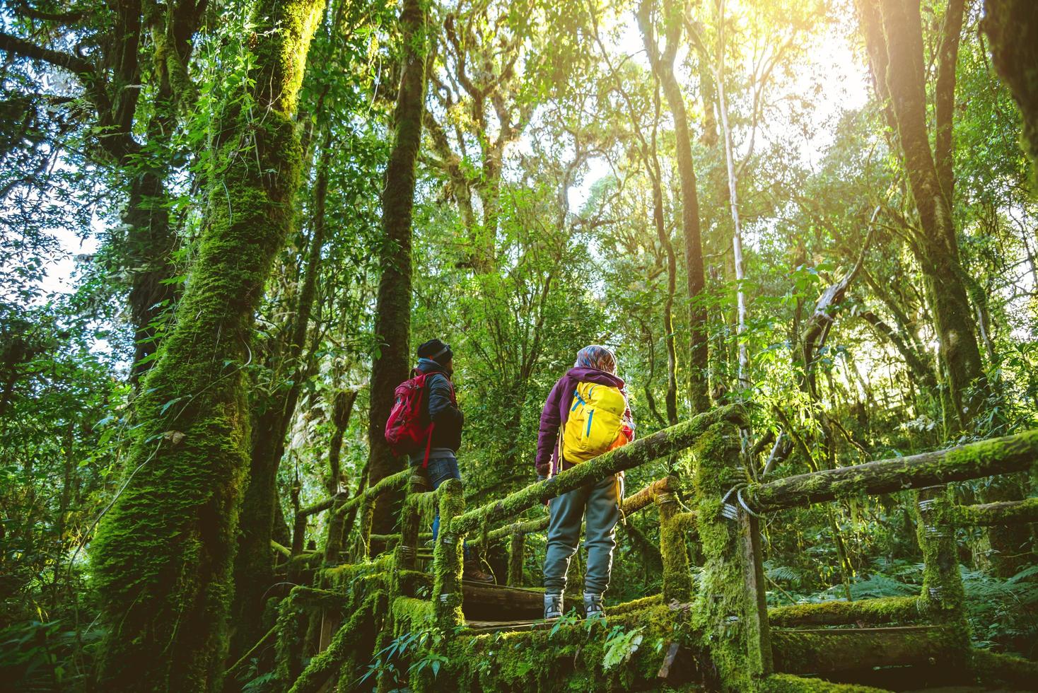 parejas que viajan, relajarse en invierno. disfrutar de caminatas a pie viajar para estudiar la naturaleza en la selva tropical. en el angka, chiangmai foto