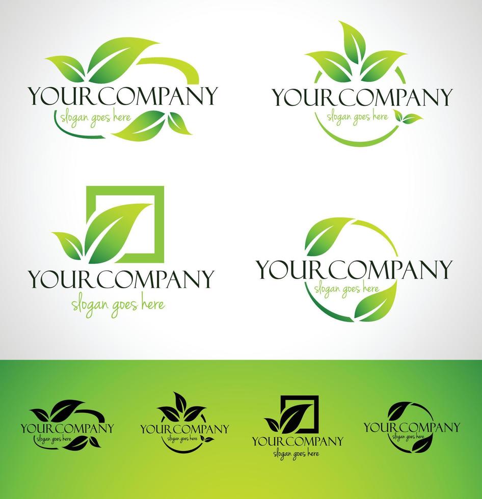 Leaf Logo Concept vector